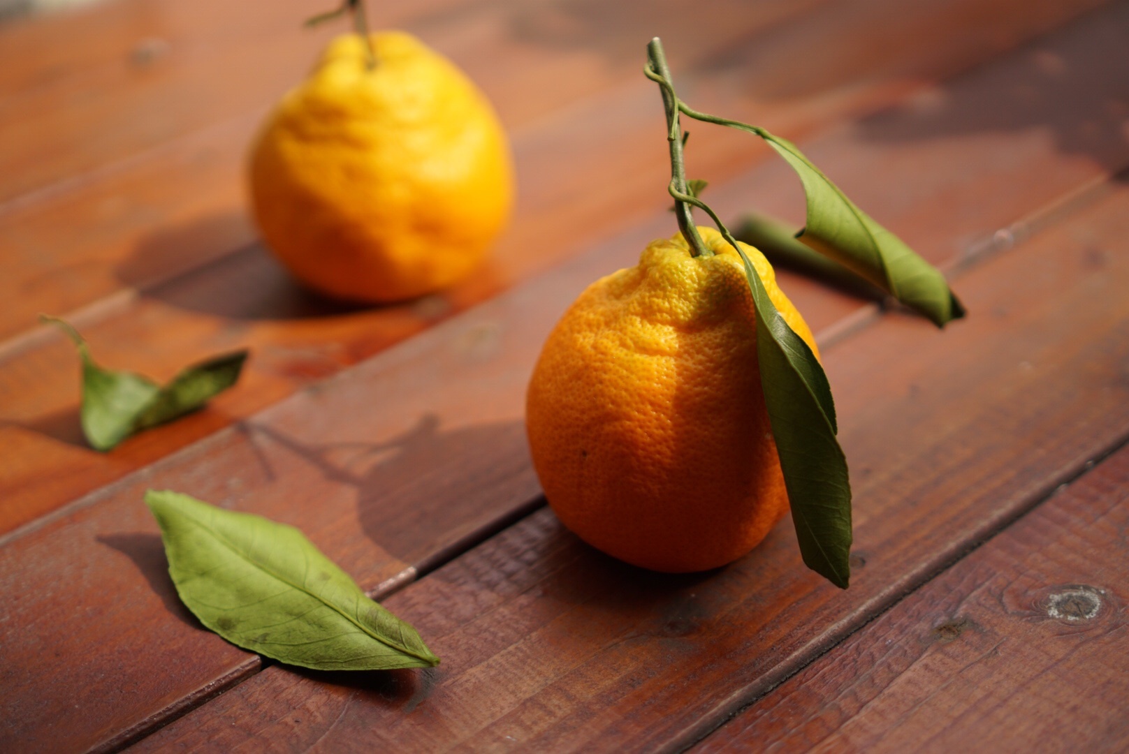 丑丑更健康—美味的丑橘