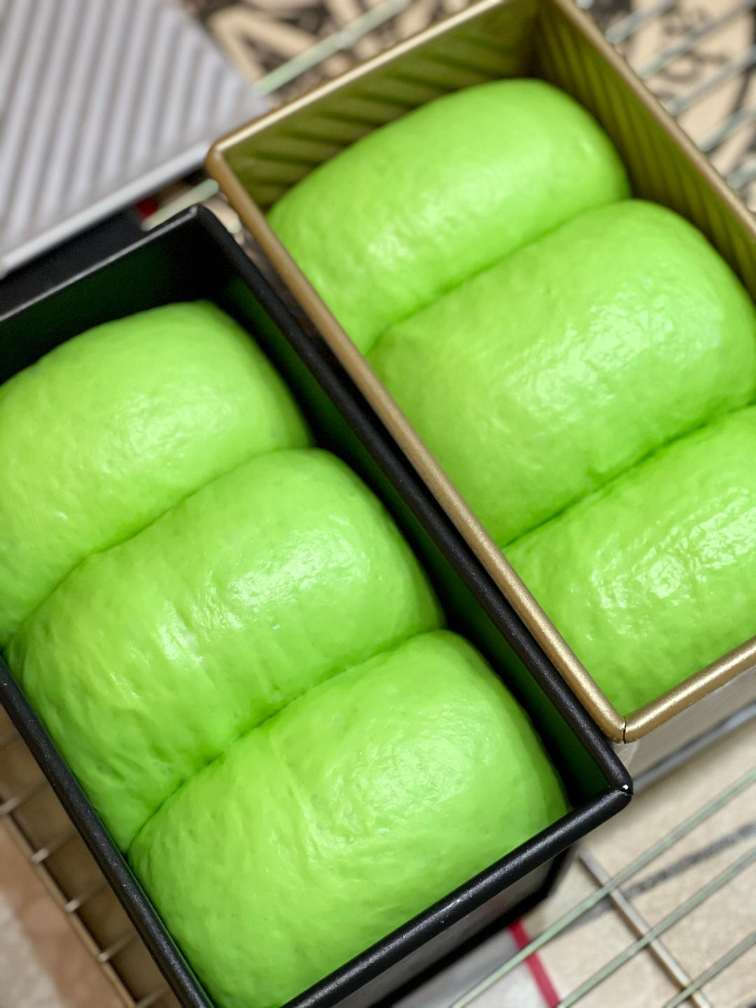 波兰种斑斓椰浆吐司