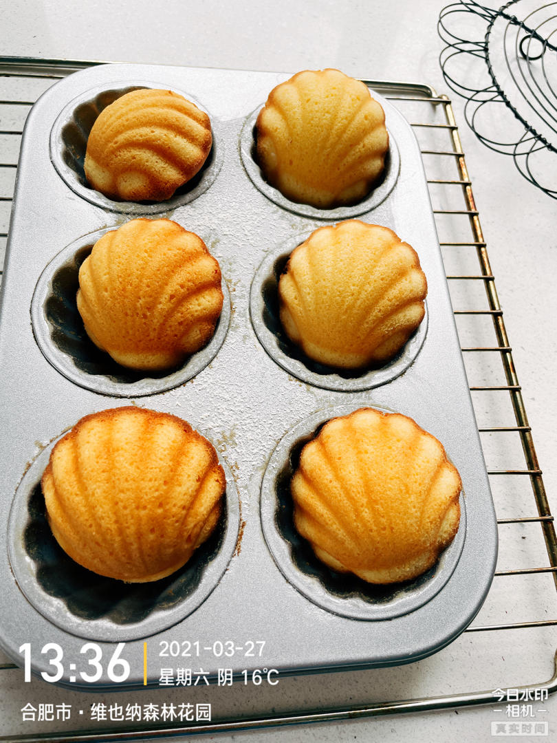 《Tinrry+》柠檬玛德琳