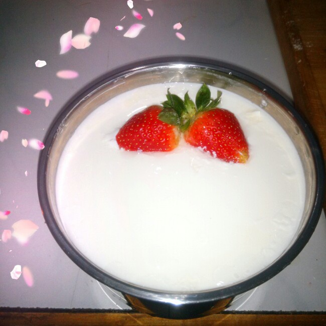 自制酸奶