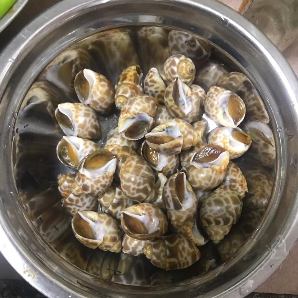 香辣花螺