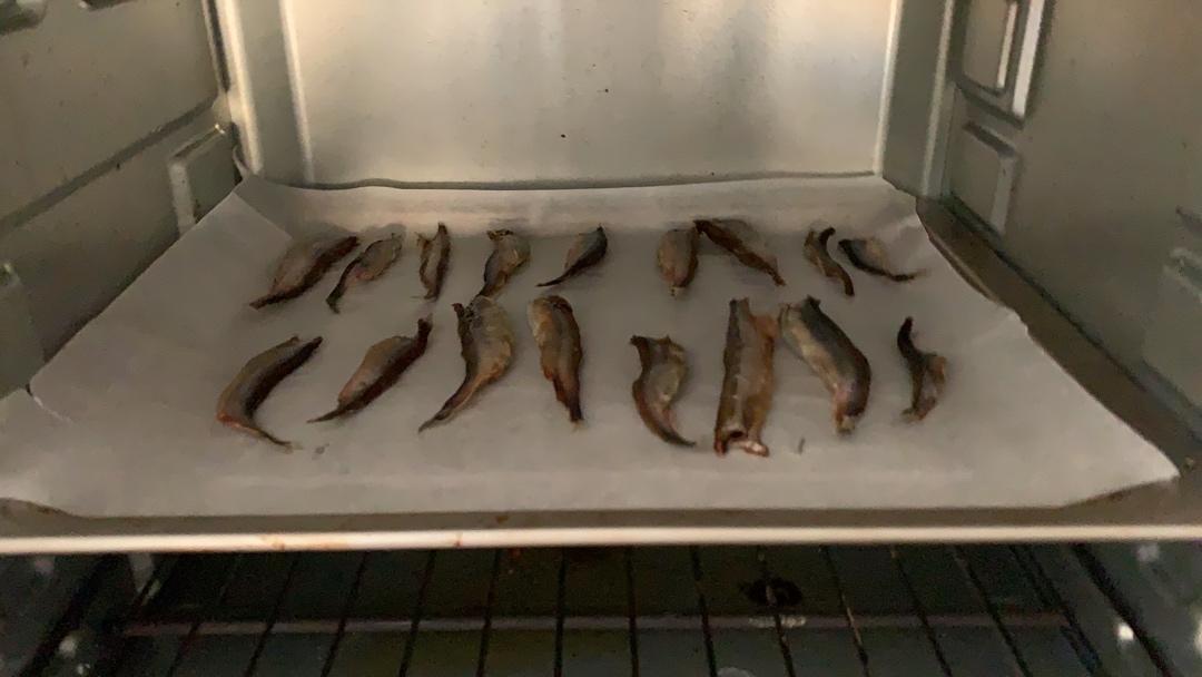猫零食 小鱼干