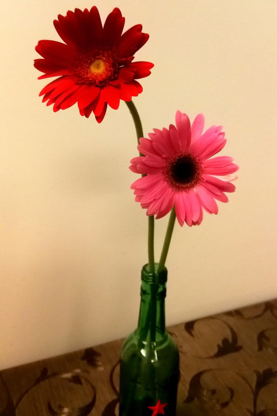 一个人也会好好吃饭哒