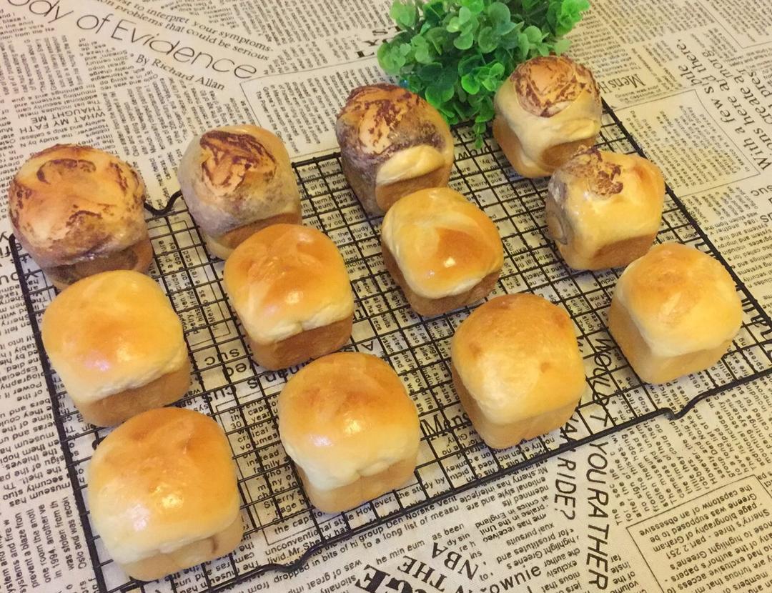 万用面包胚（冷藏中种法）
