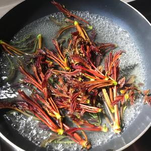 堂妈小厨——香椿芽厚蛋烧的做法 步骤2