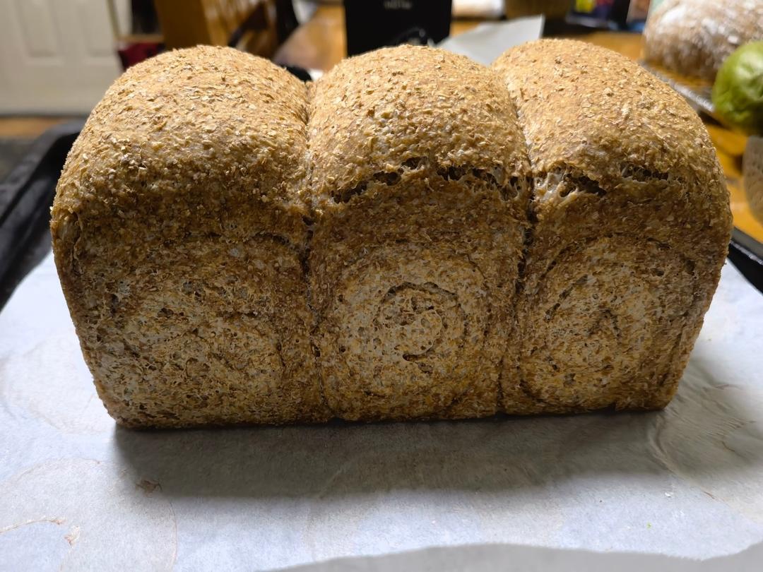 万能全麦面包配方 无糖无油 简单配方 一次发酵 保存两周 无需揉面免揉 冷藏发酵 吐司欧包乡村法棍披萨饼 一套搞定♬(ノ゜∇゜)ノ♩