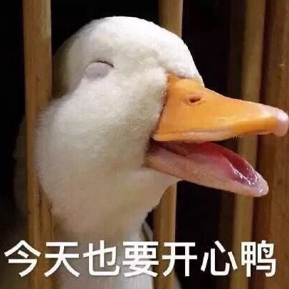 潼潼潼潼妈咪