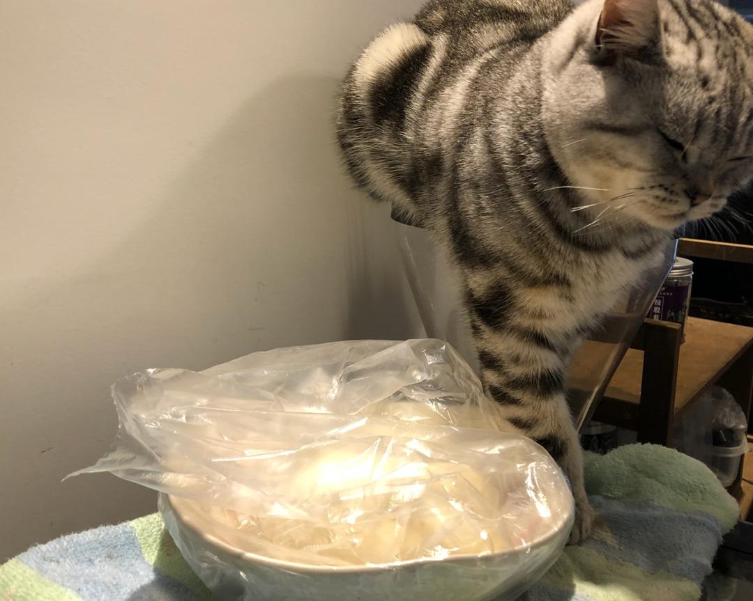 纯奶手撕吐司的做法 步骤1