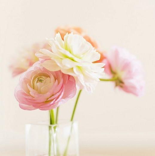 Kun2013
