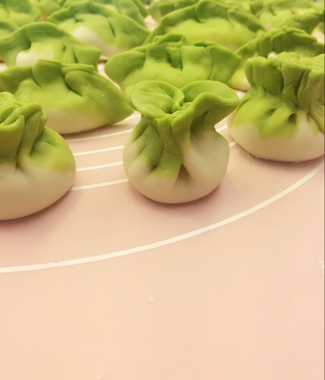 包各种各样的饺子