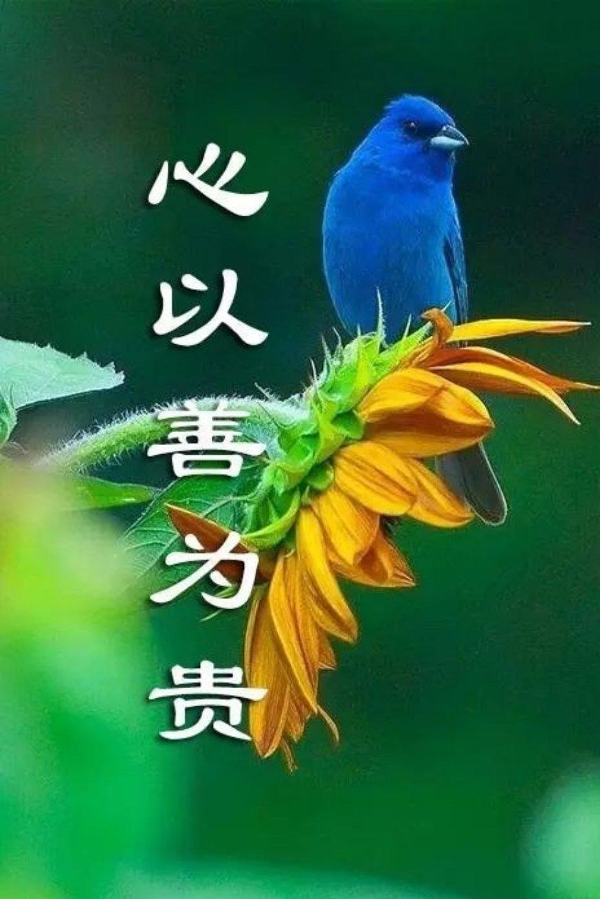 2018年10月11日