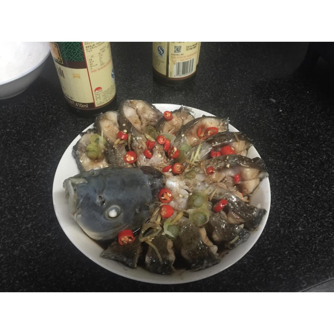 孔雀开屏鱼.