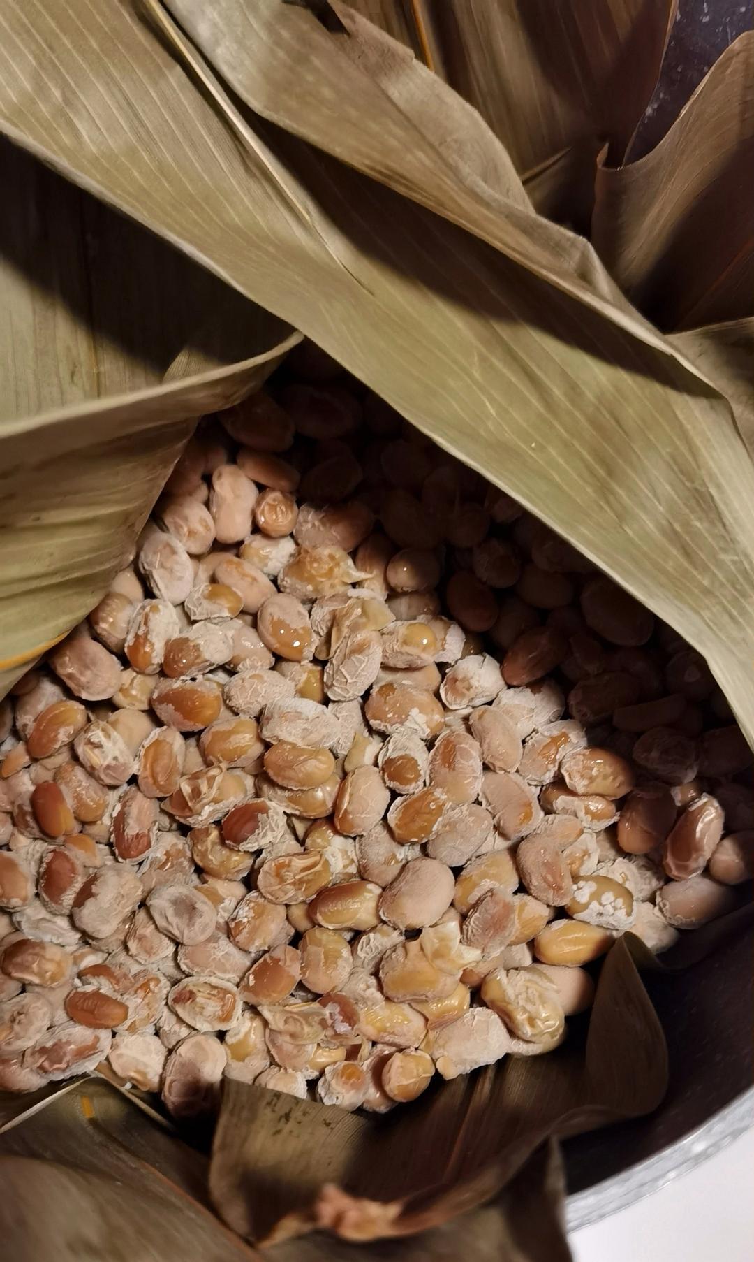 纳豆 （无需纳豆菌或纳豆）