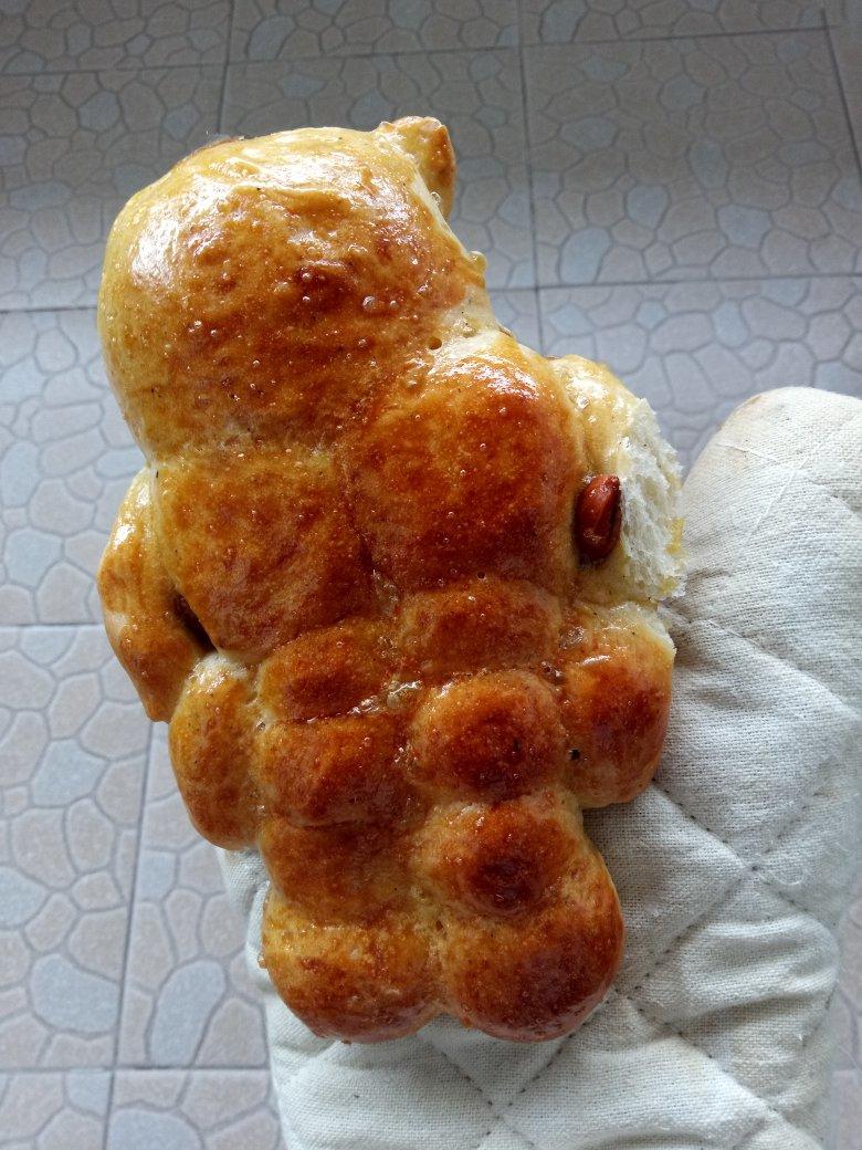 💪🏻🐻肌肉熊面包