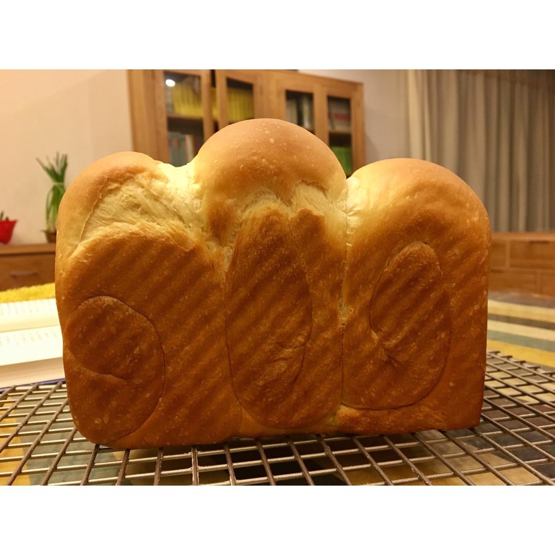 我的面包成长记录