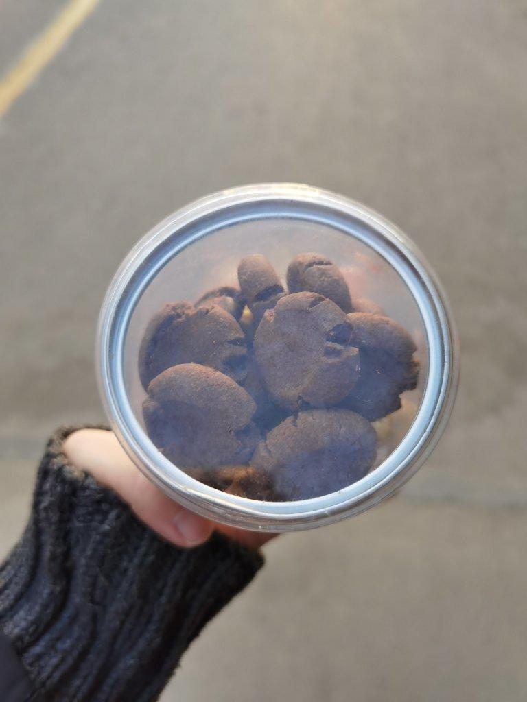 入口即化无糖版宝宝玛格丽特饼干