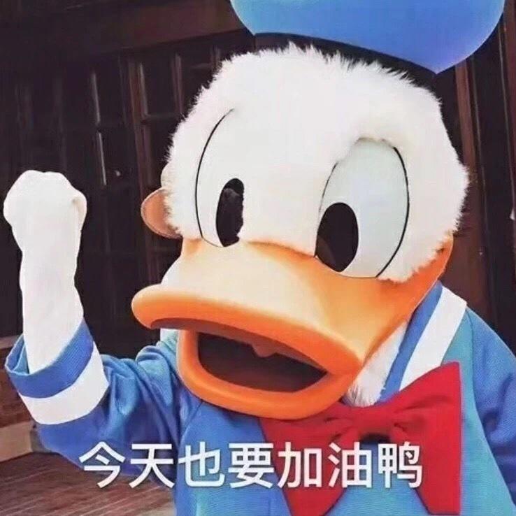 kimiko七七