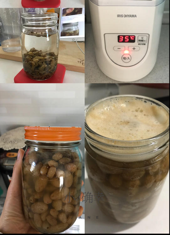 天然酵母宝宝养成记