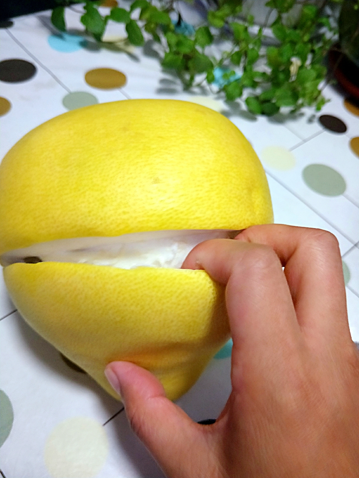 完美剥柚子大法的做法 步骤2