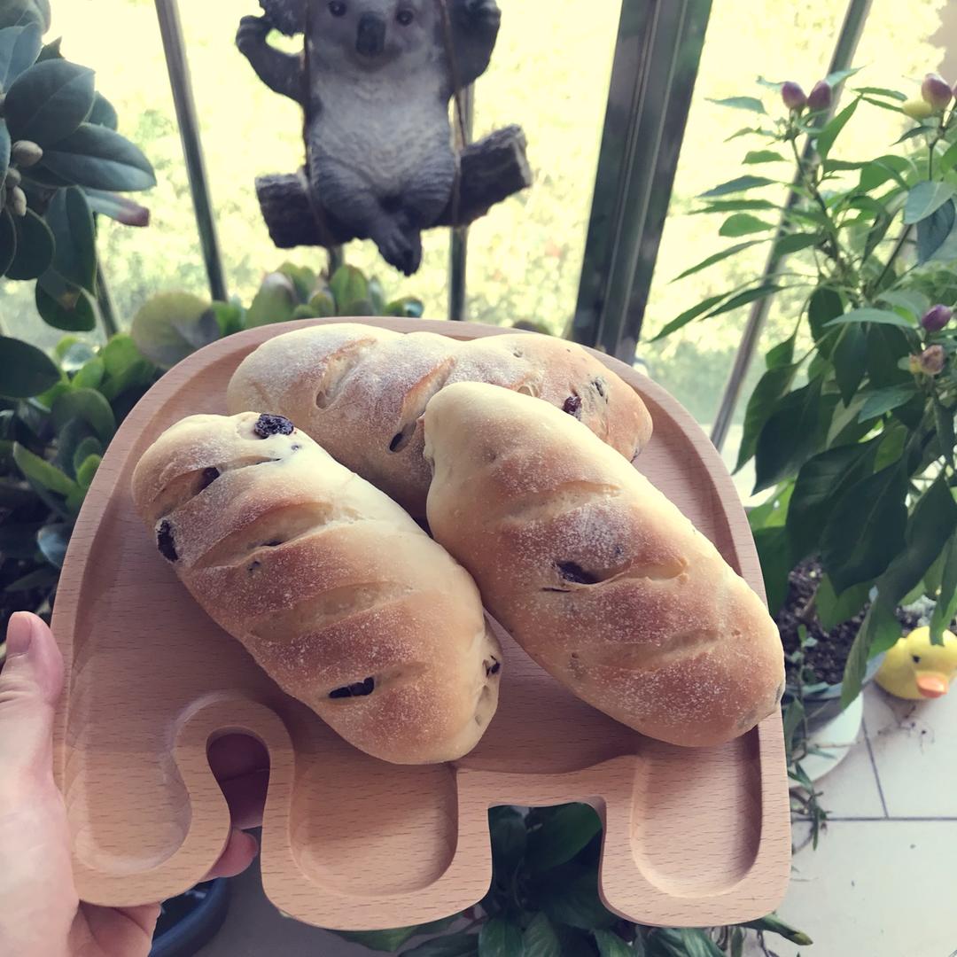 蔓越莓提子软欧面包，0基础可操作的面包