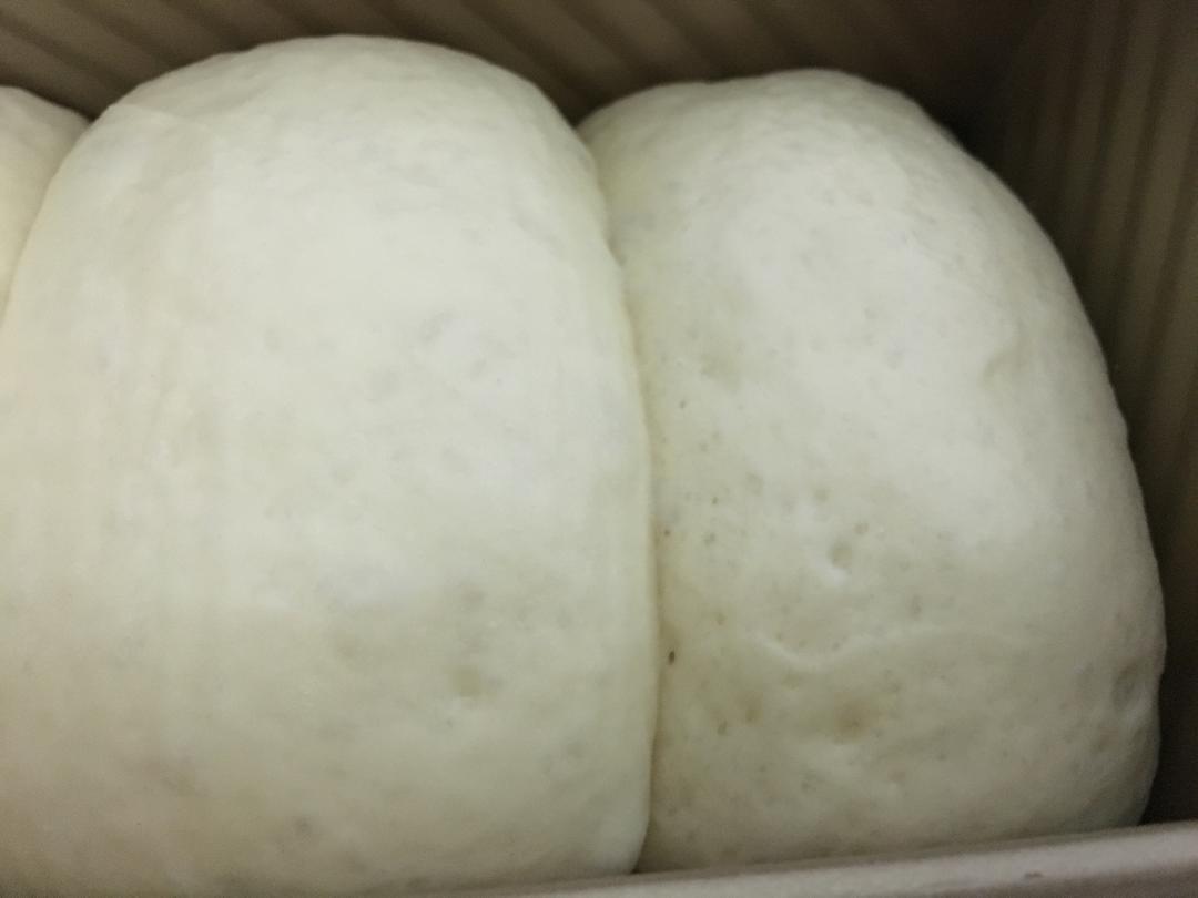 一整个蛋吐司（超好记的万能吐司配方）