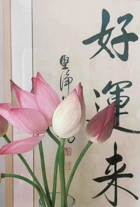 进喜美食