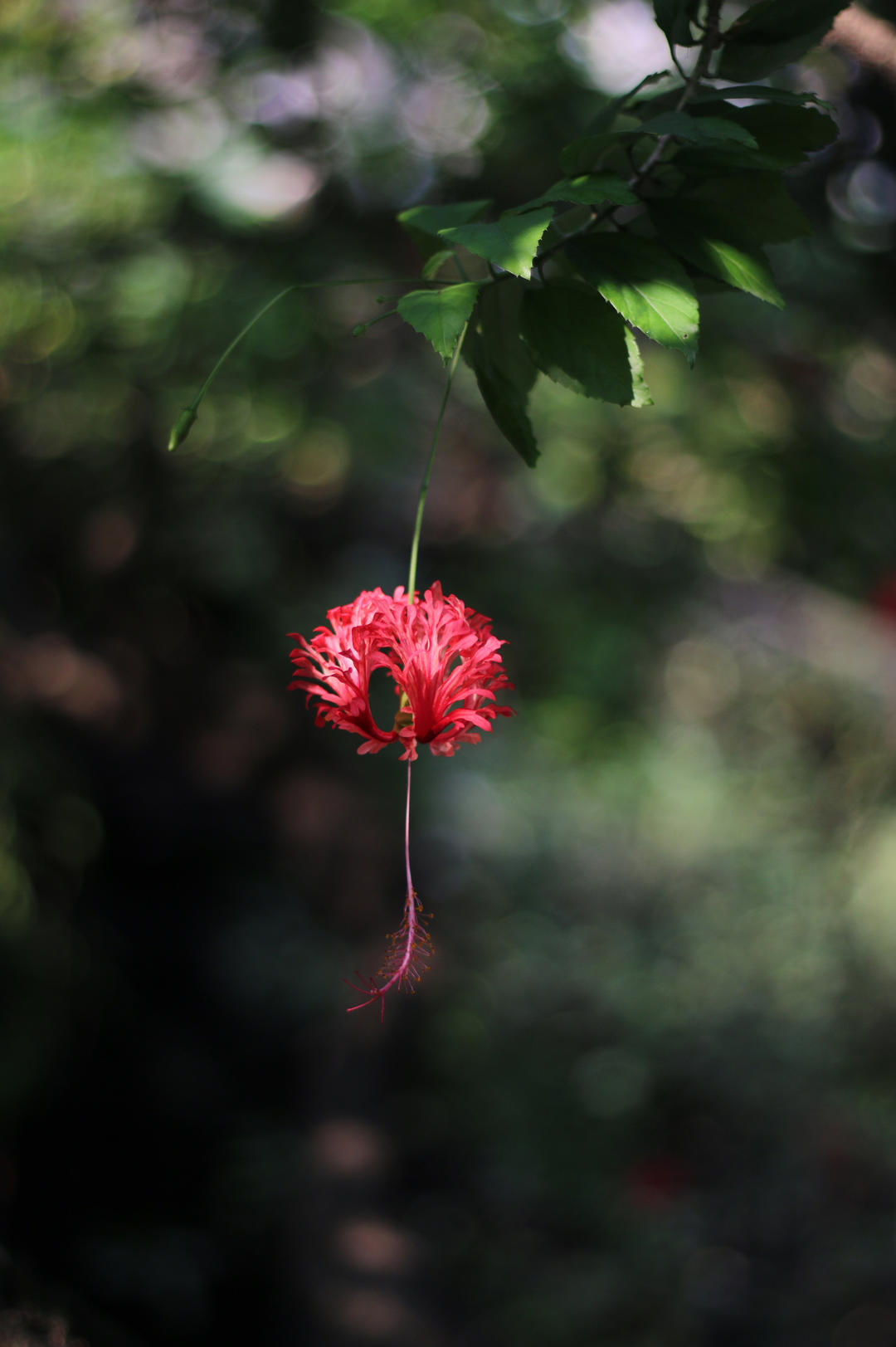 再见夏天xiaoxiao