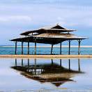 倒反天罡的厨房