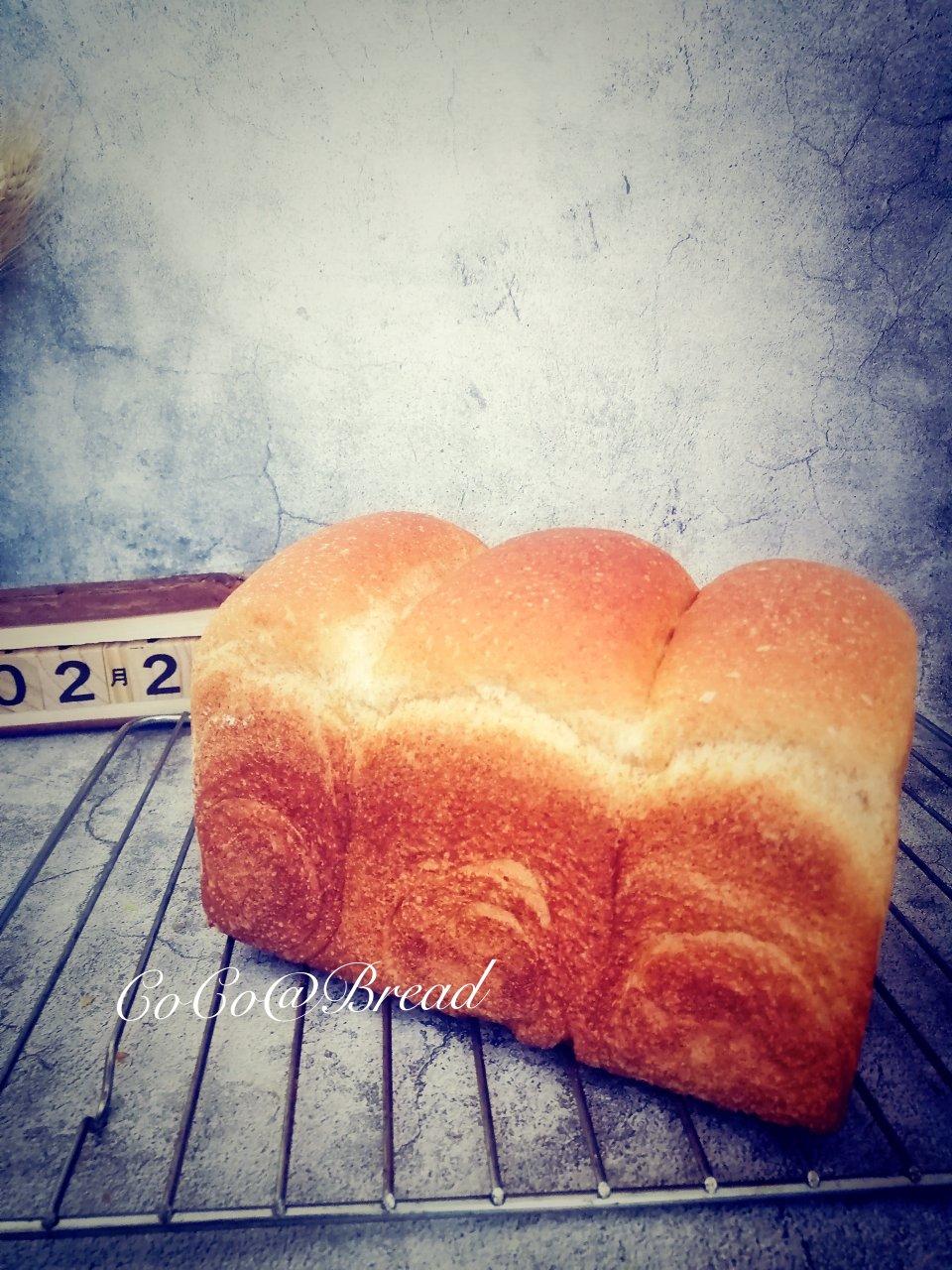 波兰种全麦吐司（40%全麦）