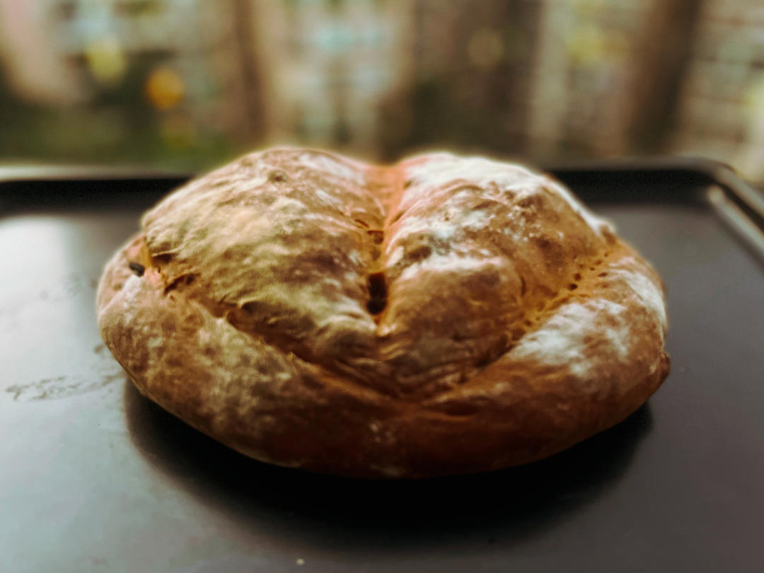 德国婆婆秘方·只多一料·香得上天的全麦核桃蔓越欧包