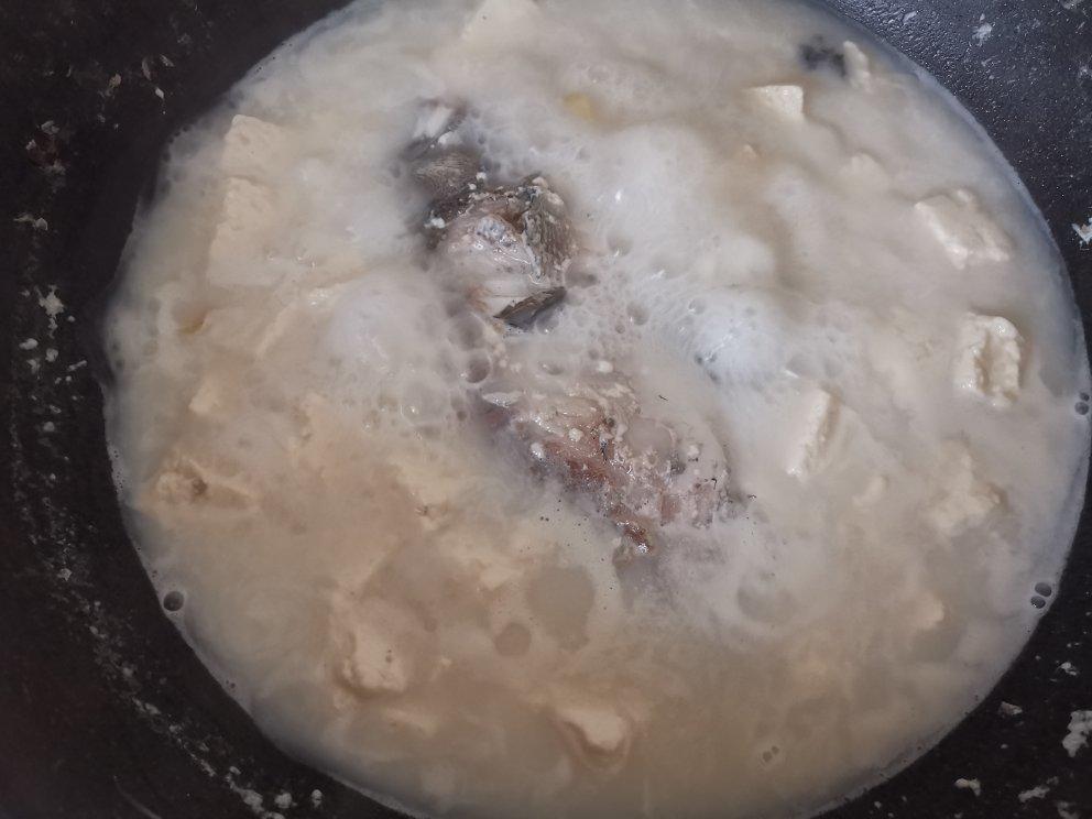 奶白鲫鱼豆腐汤|一条鱼最后的温柔