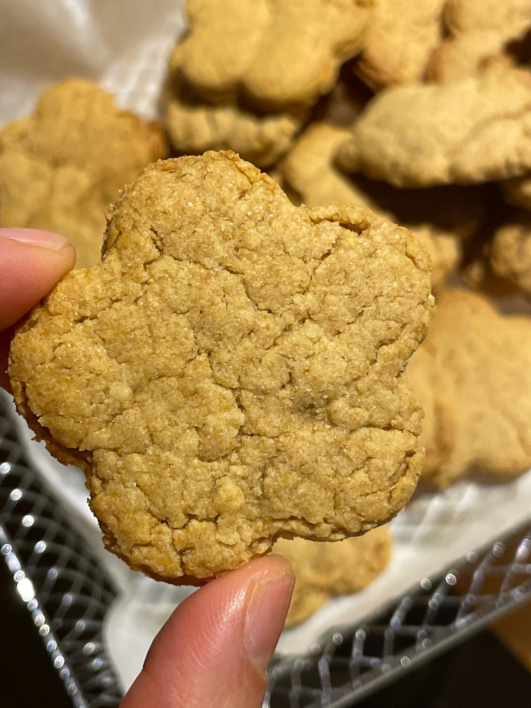 全麦消化饼干【朴素温良的好味道】