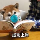 好饿好饿的八爪鱼