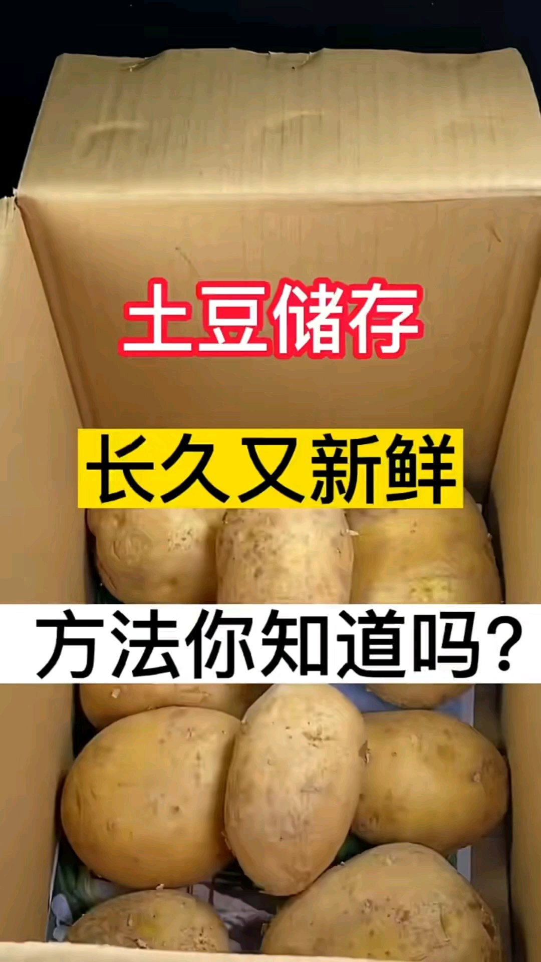 土豆储存方法