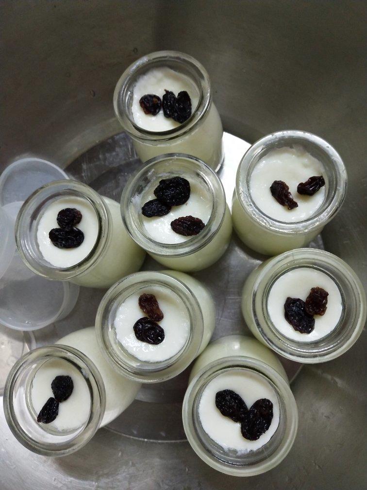 消耗蛋白的好办法--懒人版双皮奶做法