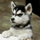 加勒比海盗_f376