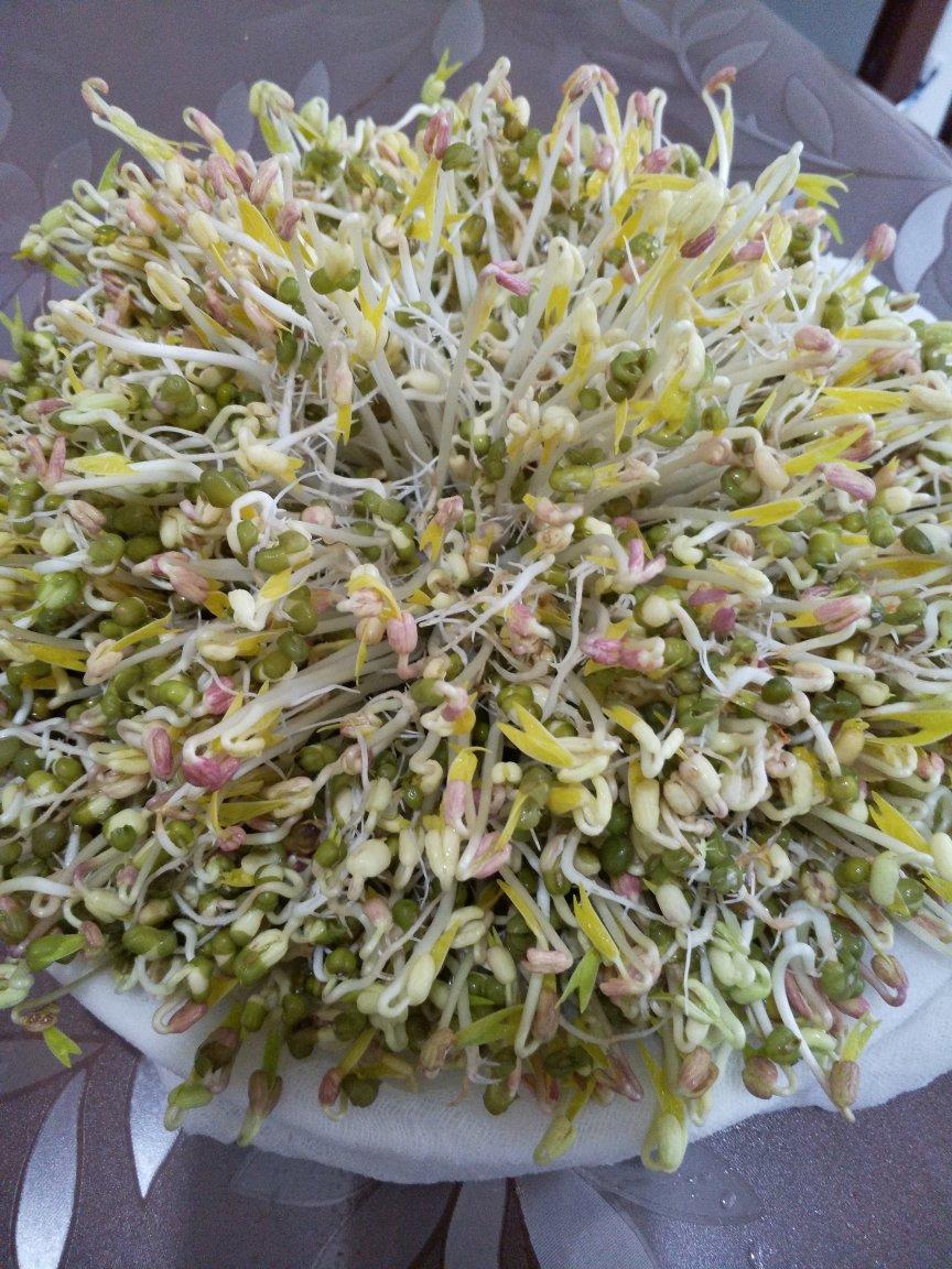 dfol做的自制豆芽