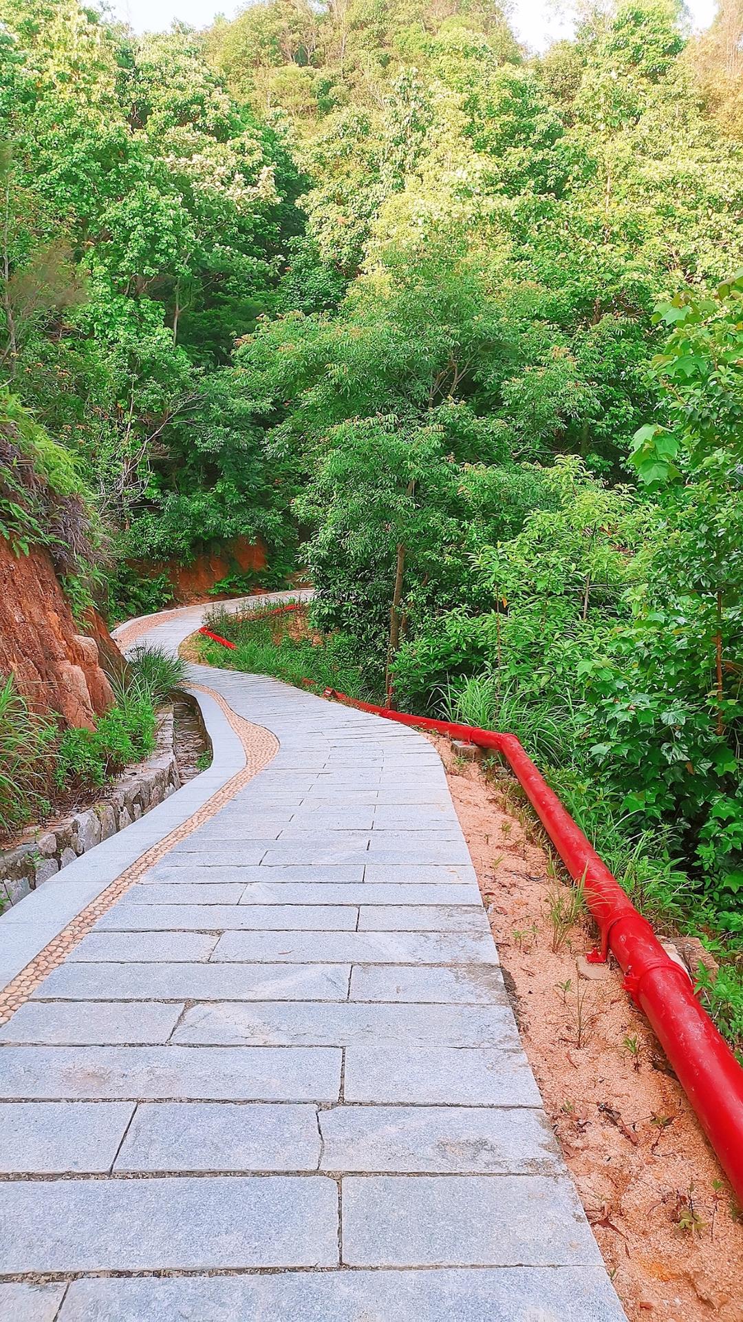 放飞心情畅游🏝️