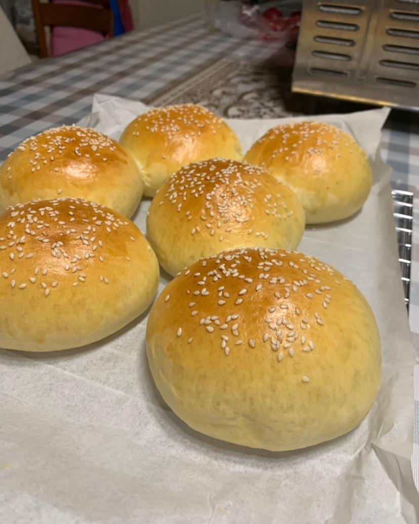 汉堡胚 poolish（波兰种）