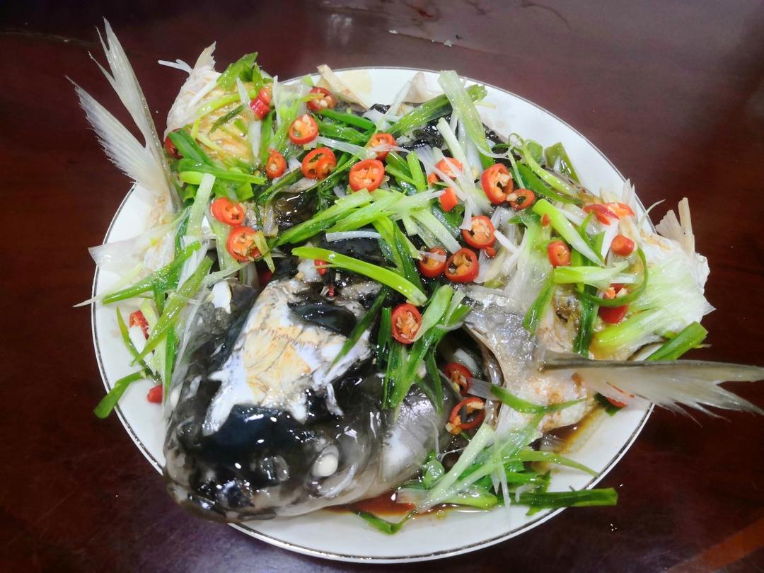 清蒸鱼/适用于各种鱼🐠（年夜饭必备硬菜）@Makin-