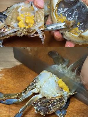姜葱梭子蟹的做法 步骤4