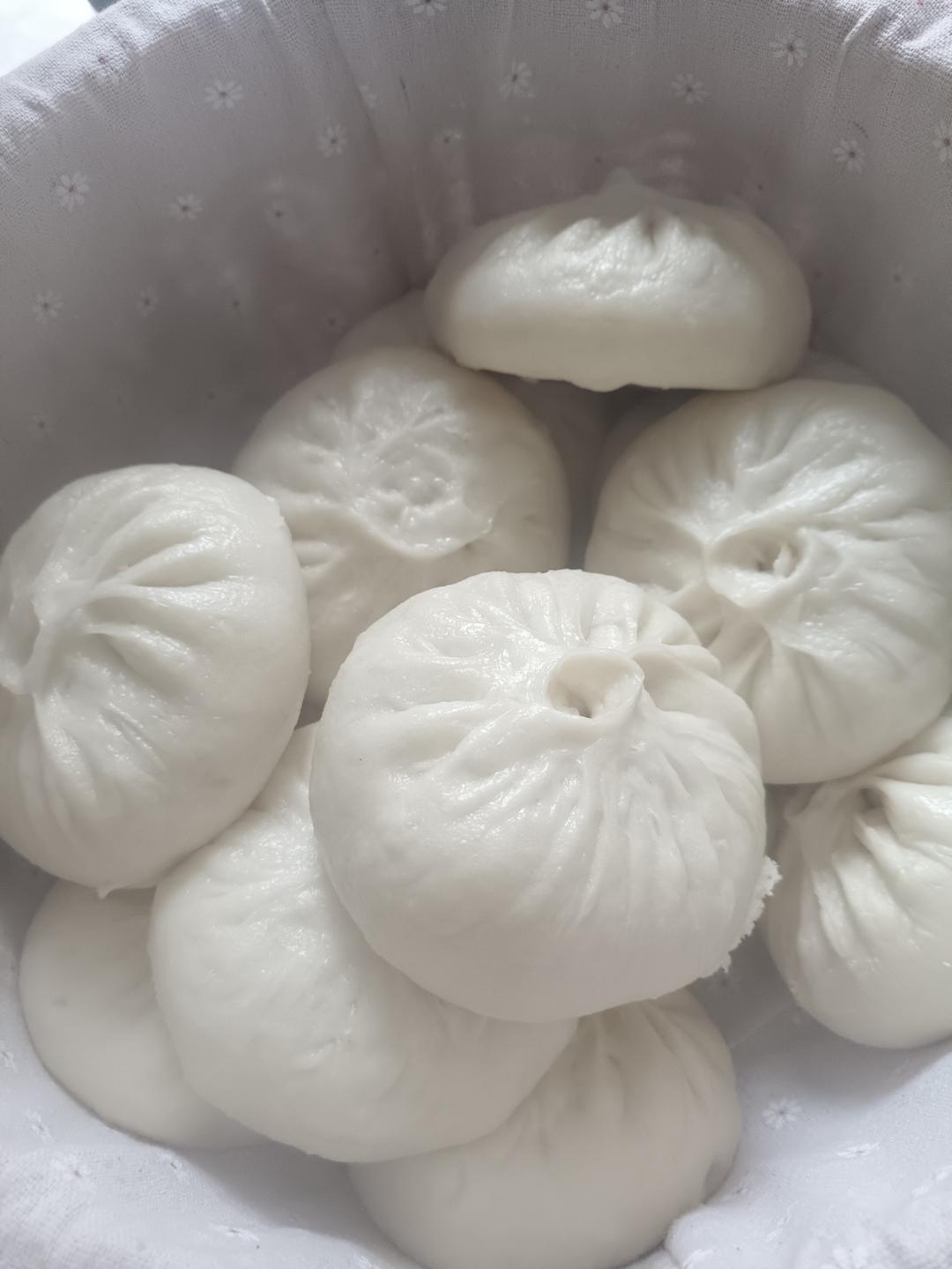 白芸豆鲜肉大包子(保姆级教程)