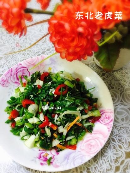 东北正棕老虎菜