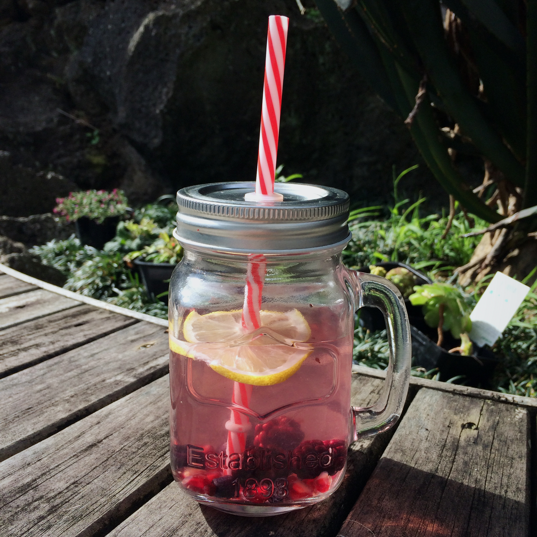 国外流行的infused water（适合减肥人群）