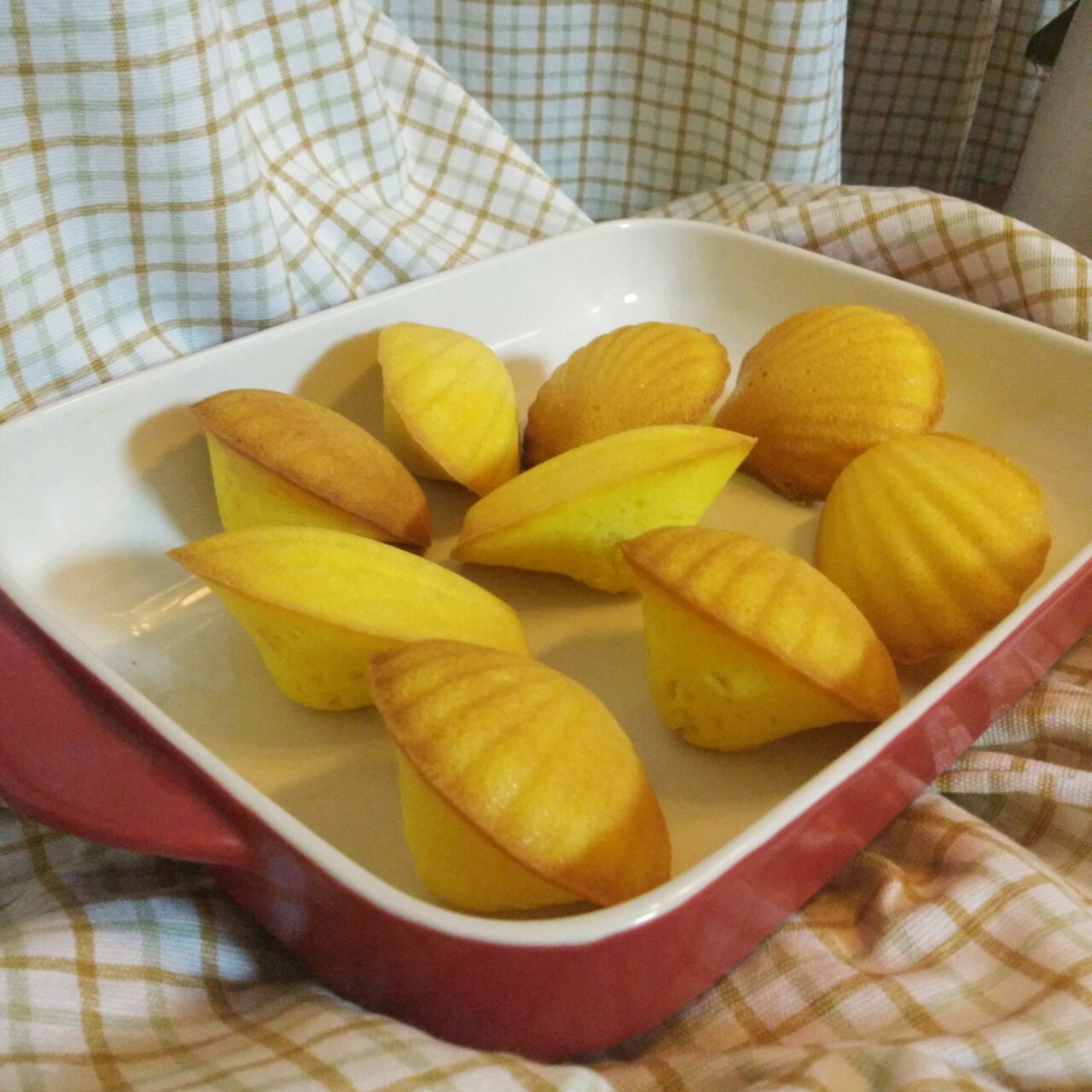 玛德琳（蓝带方）