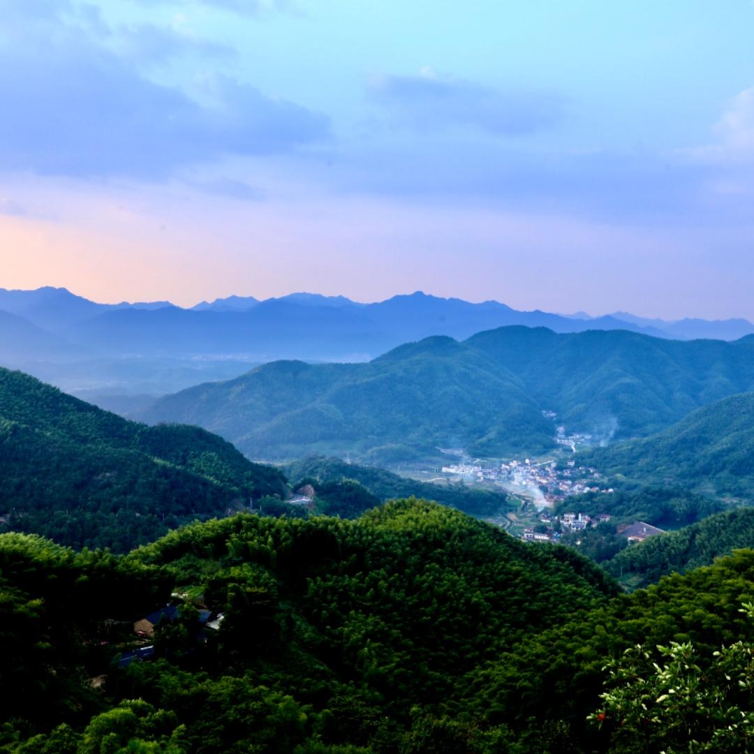 爱小毛