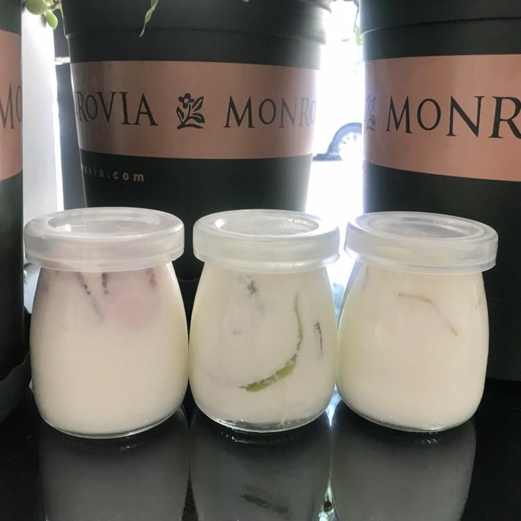 北海道牛奶布丁