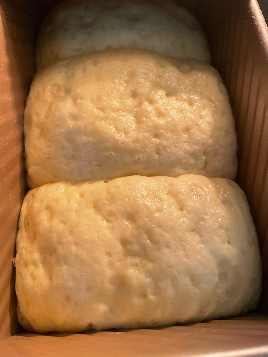 夺命软吐司(๑´ڡ`๑)超软拉丝极速方便的一次发酵吐司