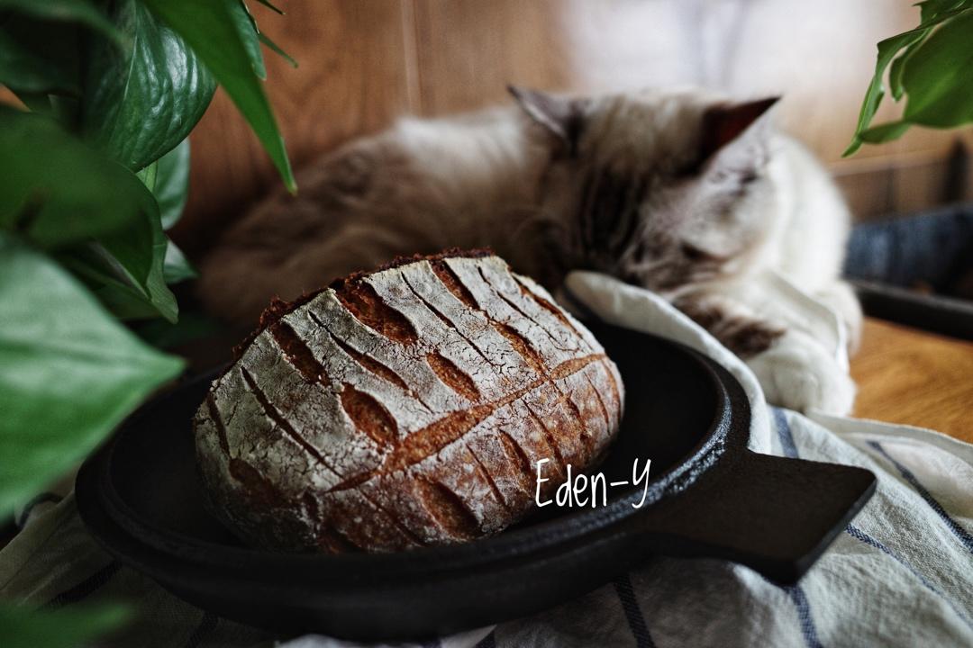 视频教程 天然酵种欧包 基础配方＆制作流程
