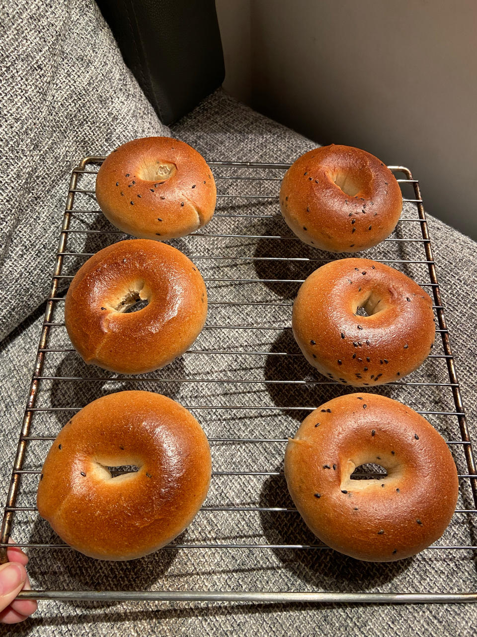 贝果新手看过来——超详细基础贝果每步注意事项